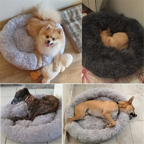 DrowsyPaws Calming Bed